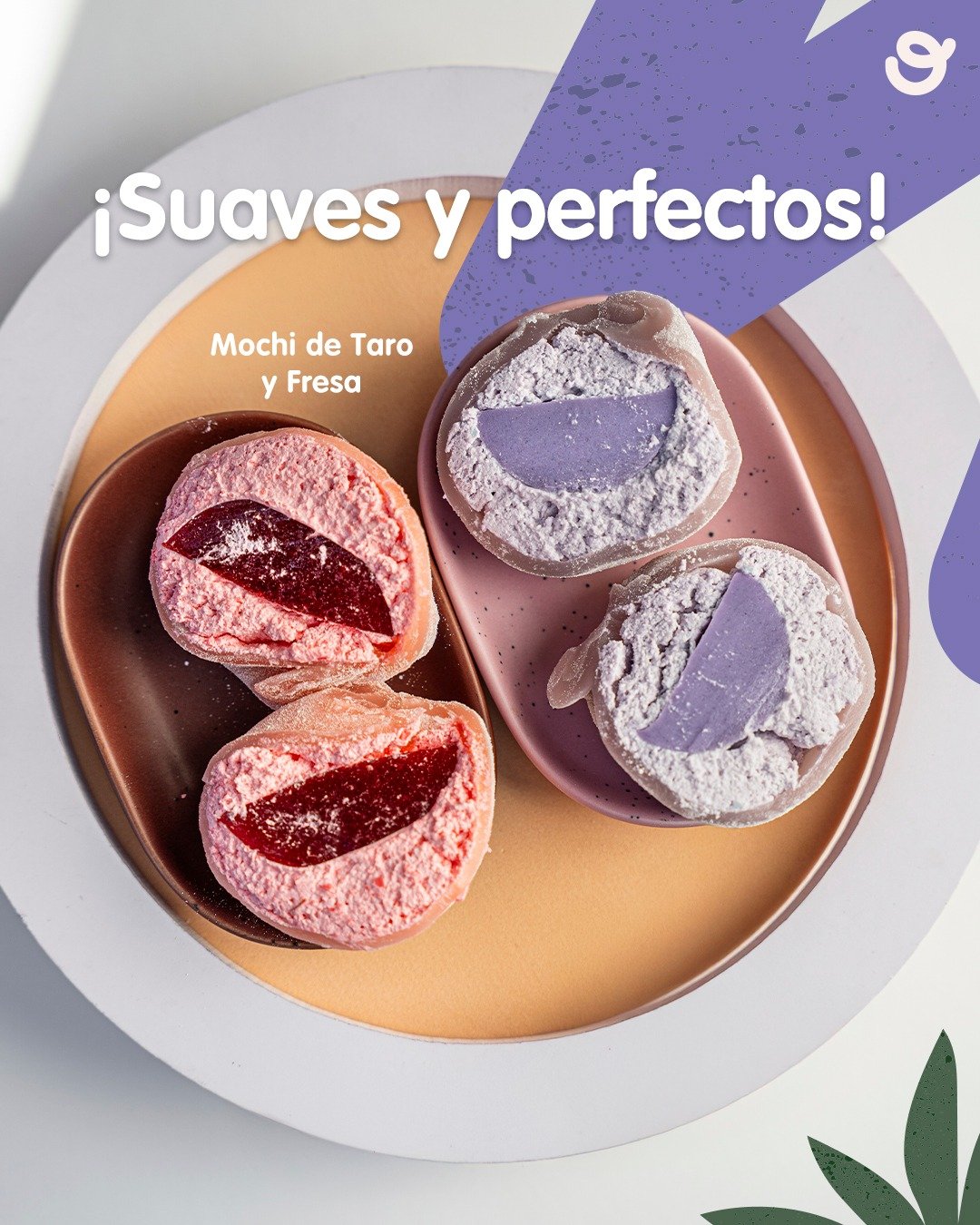 imagen6